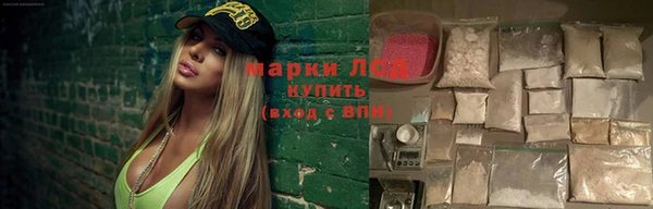 ГАЛЛЮЦИНОГЕННЫЕ ГРИБЫ Вяземский
