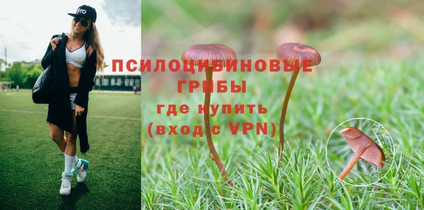 кристаллы Бородино