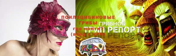 стаф Слюдянка