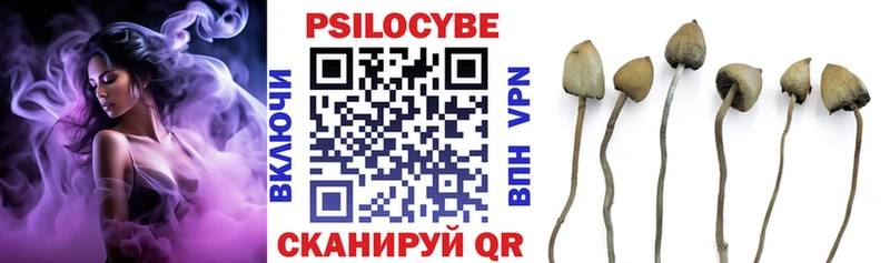 дарнет шоп  Изобильный  Псилоцибиновые грибы Magic Shrooms 