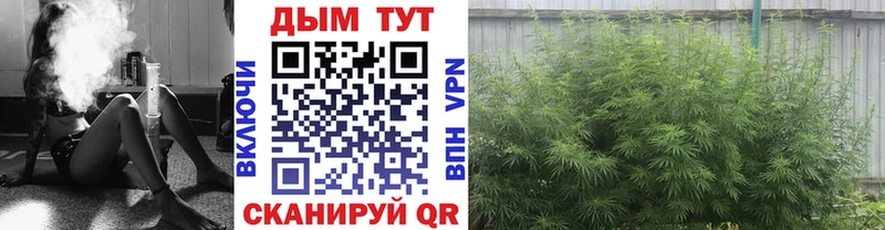 Шишки марихуана ГИДРОПОН  купить   Изобильный 